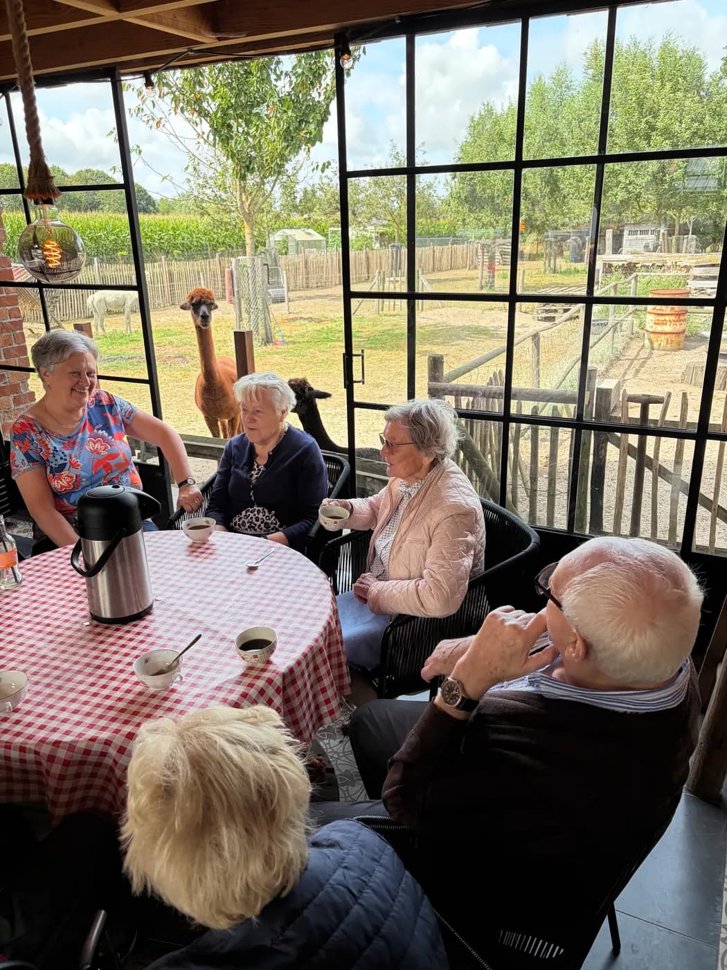 Koffie drinken binnen terwijl een alpaca door het raam meekijkt