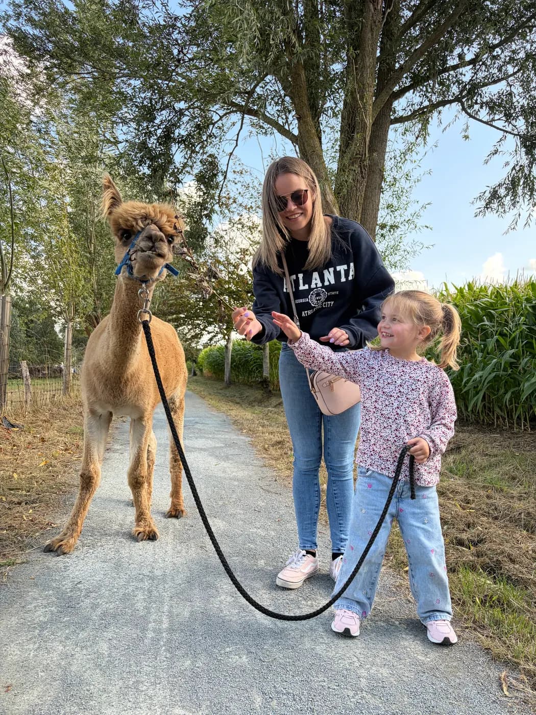 Mama en dochter wandelen met een lichtbruine alpaca langs het maïsveld